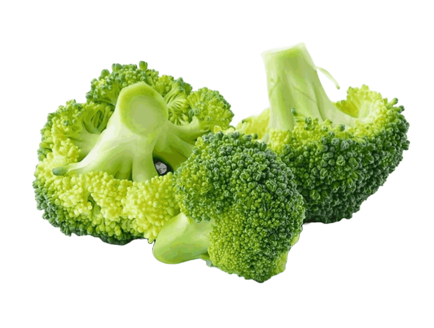 Green broccoli florets with stems